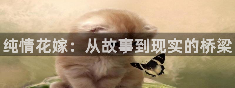 泰国腐漫：纯情花嫁：从故事到现实的桥梁