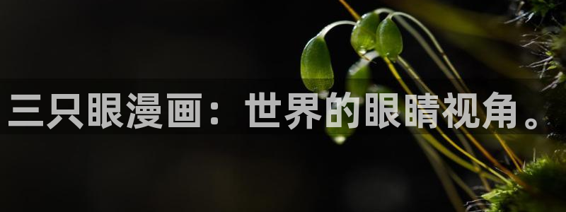 耽腐漫推荐：三只眼漫画：世界的眼睛视角。