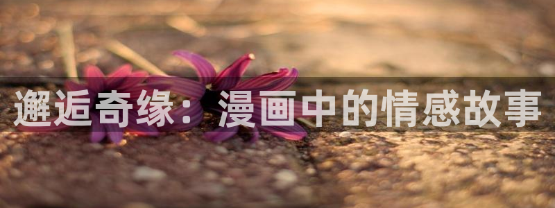 吉安腐漫：邂逅奇缘：漫画中的情感故事