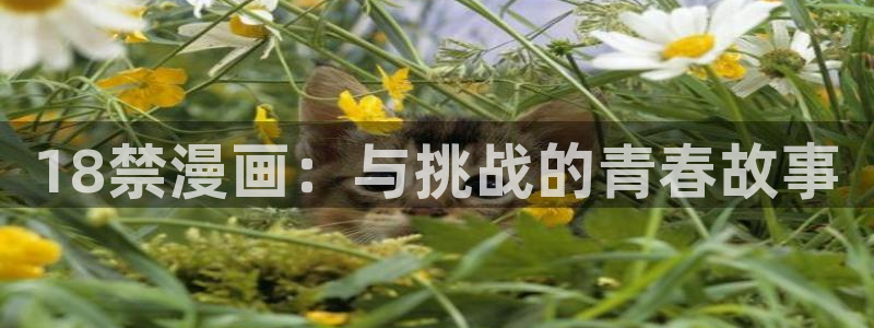腐漫免费在线阅读：18禁漫画：与挑战的青春故事