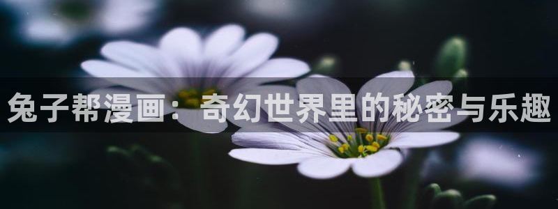 免费腐漫画网：兔子帮漫画：奇幻世界里的秘密与乐趣