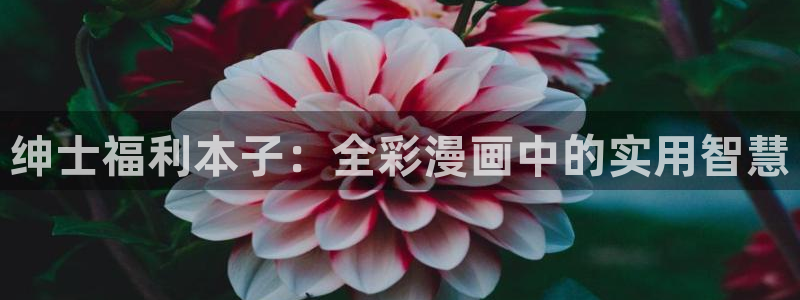 男男腐漫画：绅士福利本子：全彩漫画中的实用智慧