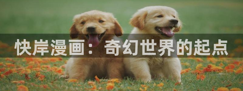 腐漫画软件有哪些：快岸漫画：奇幻世界的起点