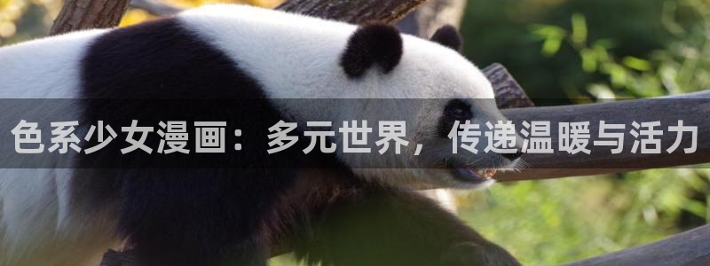 腐漫有什么：色系少女漫画：多元世界，传递温暖与活力