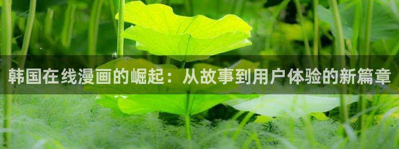 快看漫画腐漫：韩国在线漫画的崛起：从故事到用户体验的新篇章