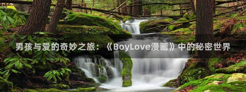 腐漫fm：男孩与爱的奇妙之旅：《BoyLove漫画》中的秘密世界