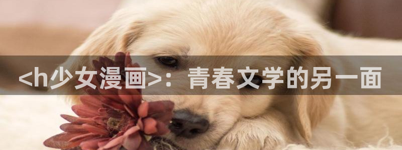 腐漫网入口：<h少女漫画>：青春文学的另一面