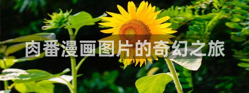 腐漫动漫：肉番漫画图片的奇幻之旅