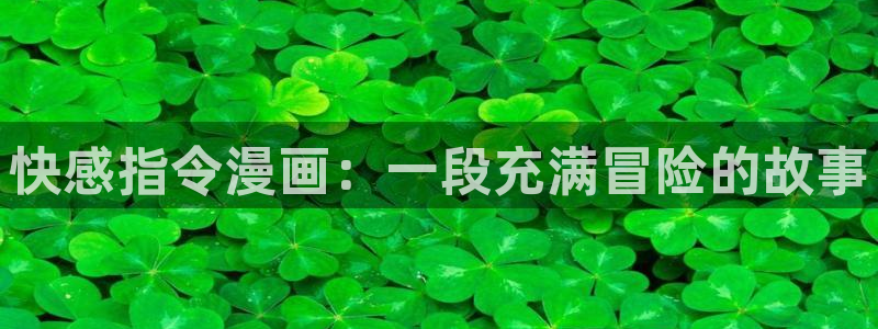双男腐漫推荐：快感指令漫画：一段充满冒险的故事