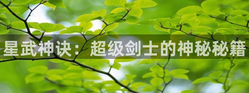 同性腐漫画：星武神诀：超级剑士的神秘秘籍