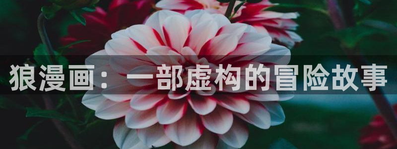 腐漫韩漫推荐：狼漫画：一部虚构的冒险故事